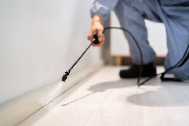 Licensed Termite Control service in Pinckney, MI - Nex Pest Control