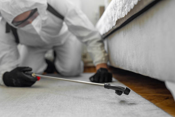 Professional Termite Control technician working in Pinckney, MI