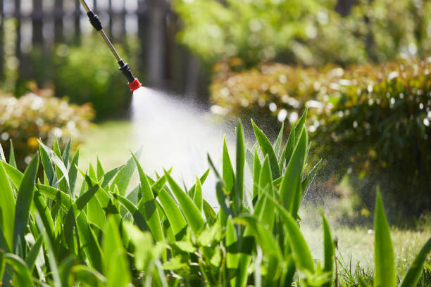 24/7 Emergency Termite Control experts in Pinckney, MI