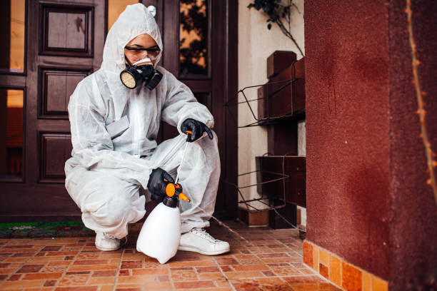 Reliable Termite Control contractor in Pinckney, MI by Nex Pest Control