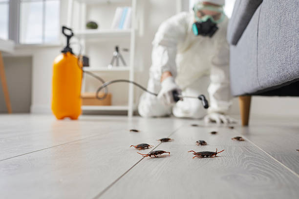 Affordable Termite Control solutions in Pinckney, MI