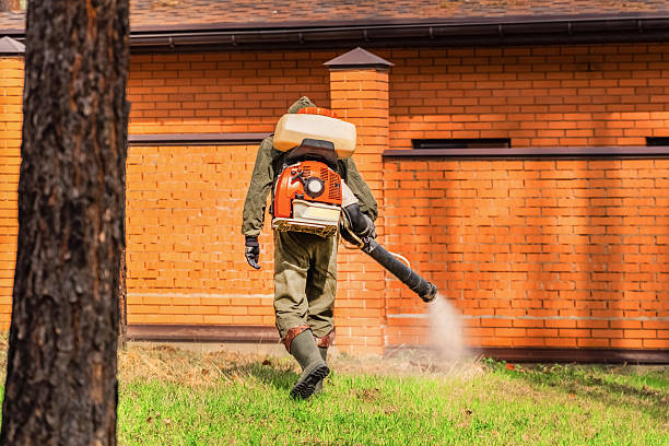 Top rated local Termite Control specialists in Pinckney, MI